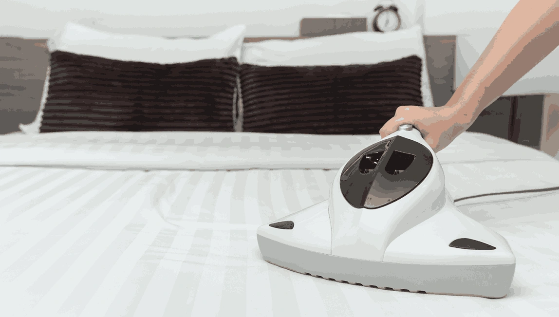 Professional Mattress Cleaning Mulgrave